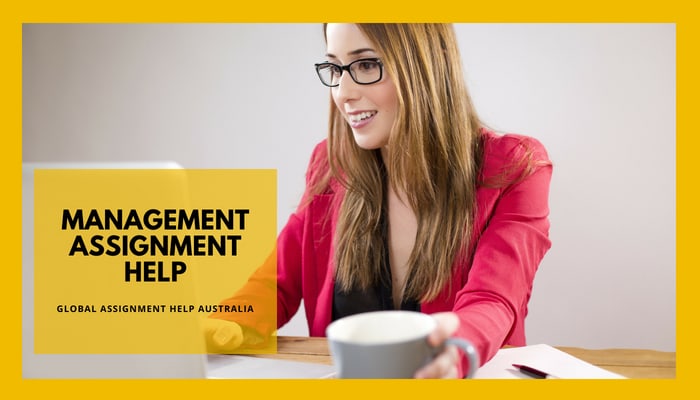 Management Assignment Help
