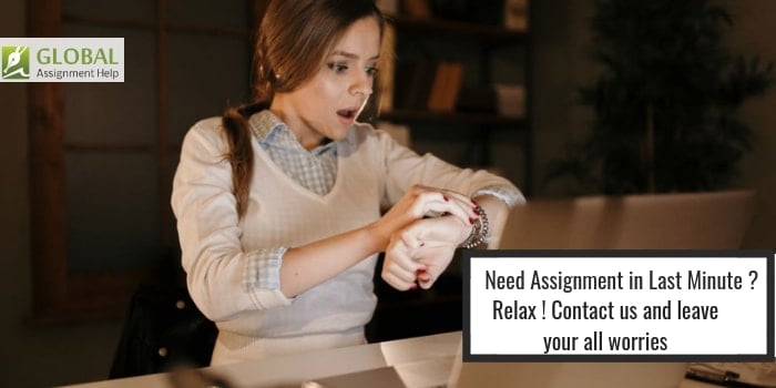 Last Minute Assignment Help