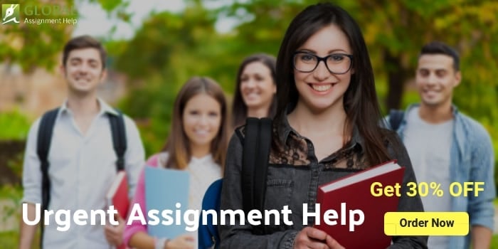 Urgent Assignment Help